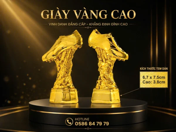 CUP BÓNG ĐÁ ĐÔI GIÀY VÀNG CUP-075