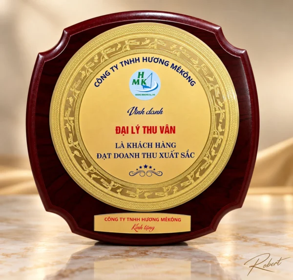 Kỷ Niệm Chương Gỗ 144