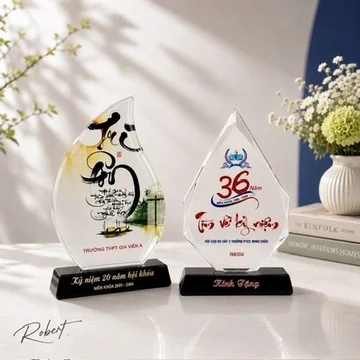 Kỷ niệm chương Tri ân mã TriAn-17 Robert